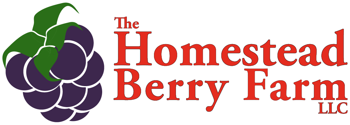 The Homestead Berry Farm